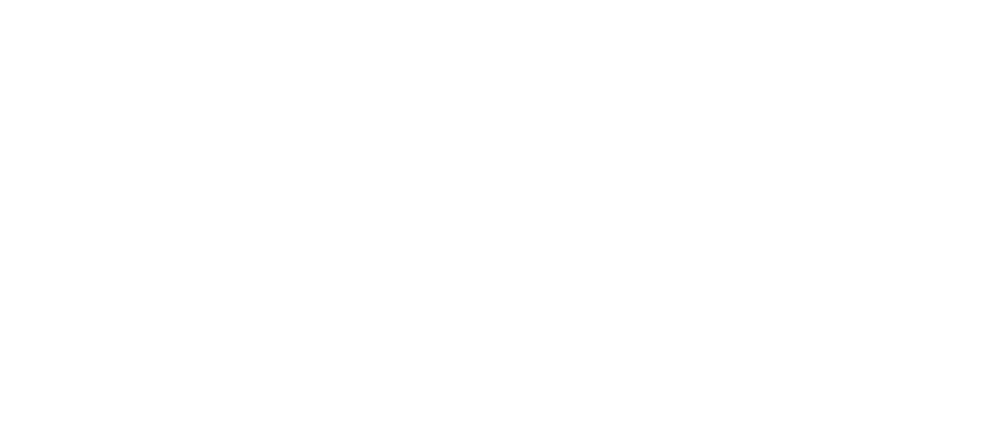 Lebi